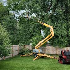 Best Hazardous Tree Removal  in Gratton, VA